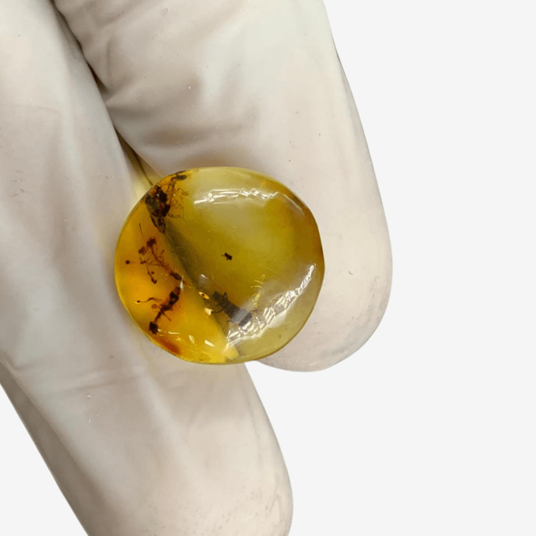 Certified Natural Amber Ring | Unique 5.25 Carat Gem